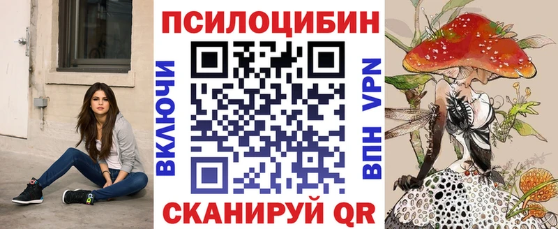 сколько стоит  Новочеркасск  блэк спрут как зайти  Галлюциногенные грибы Cubensis 