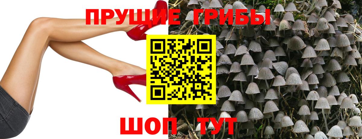 Галлюциногенные грибы GOLDEN TEACHER  Вход с VPN  Новочеркасск 